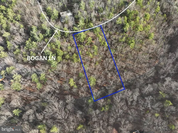 0 Bogan Ln, Mount Jackson, VA 22842