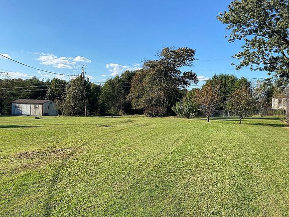 Back yard with fruit trees