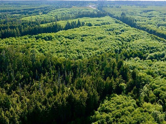 2nd image of 0 SR 109