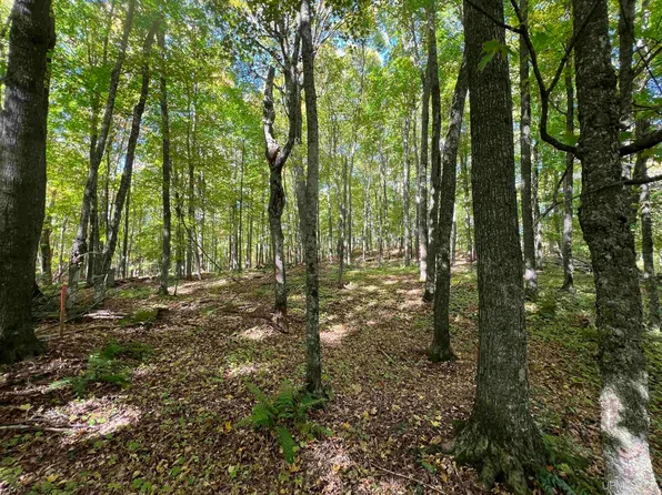 19501 Otter Ln, Watersmeet, MI 49969