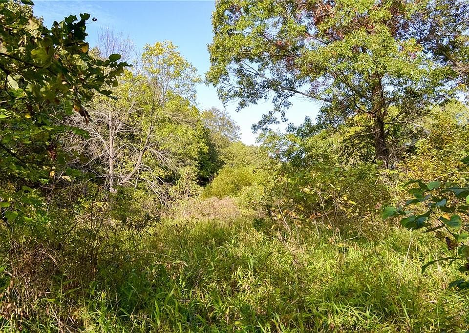 0 S 2251st Rd, Humansville, MO 65674 Zillow