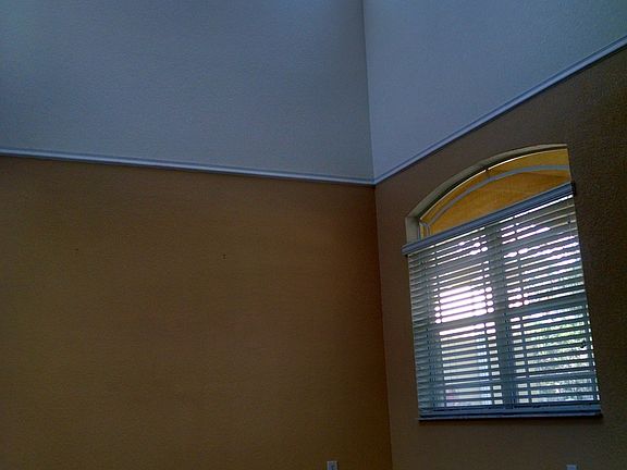 Plenty of natural light and high ceilings
