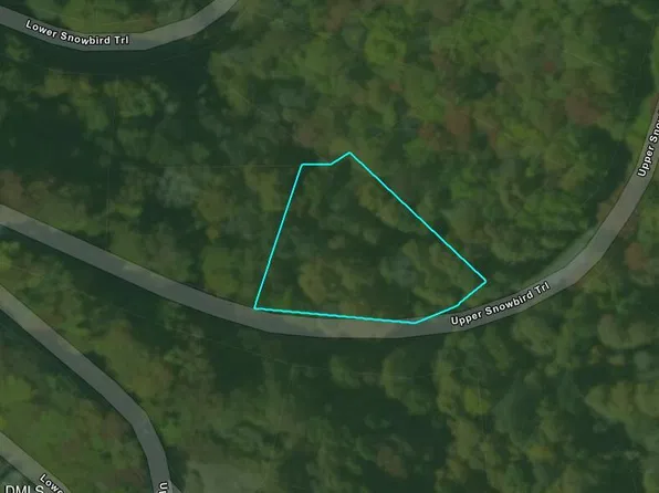 124 Upper Snowbird Trl Lot 141, Banner Elk, NC 28604