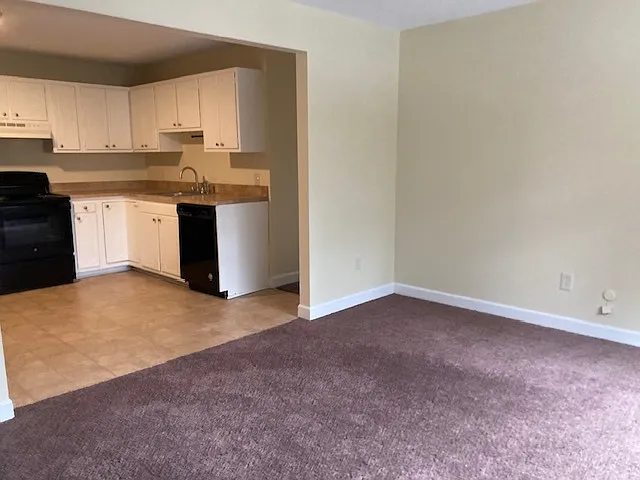 2 bed, 1000 sqft, $1,995 — Photo 4