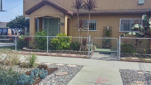 Front of Building succulent landscaping