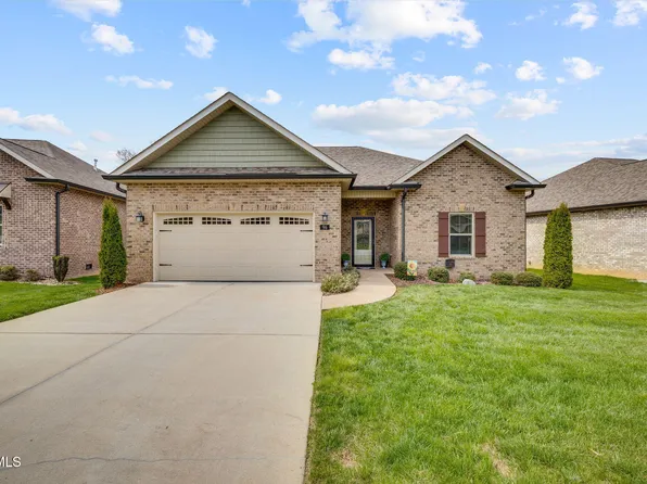 96 Ripple Fls, Gray, TN 37615