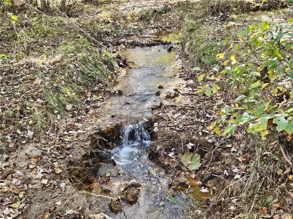 Back Mountain Rd, Dillwyn, VA 23936