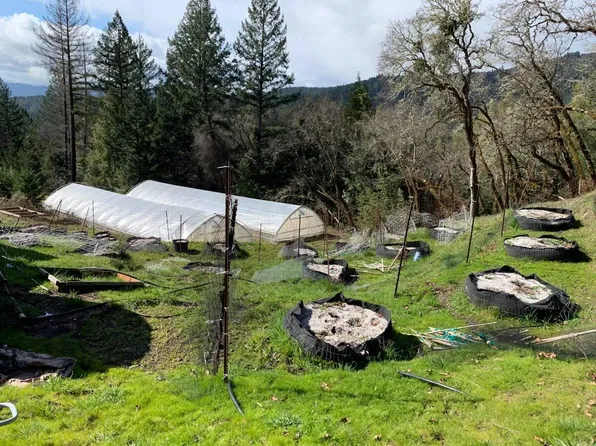 80 / Acres, Blocksburg, CA 95514