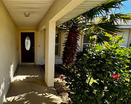 IMG_1408 Medium 2_01152025