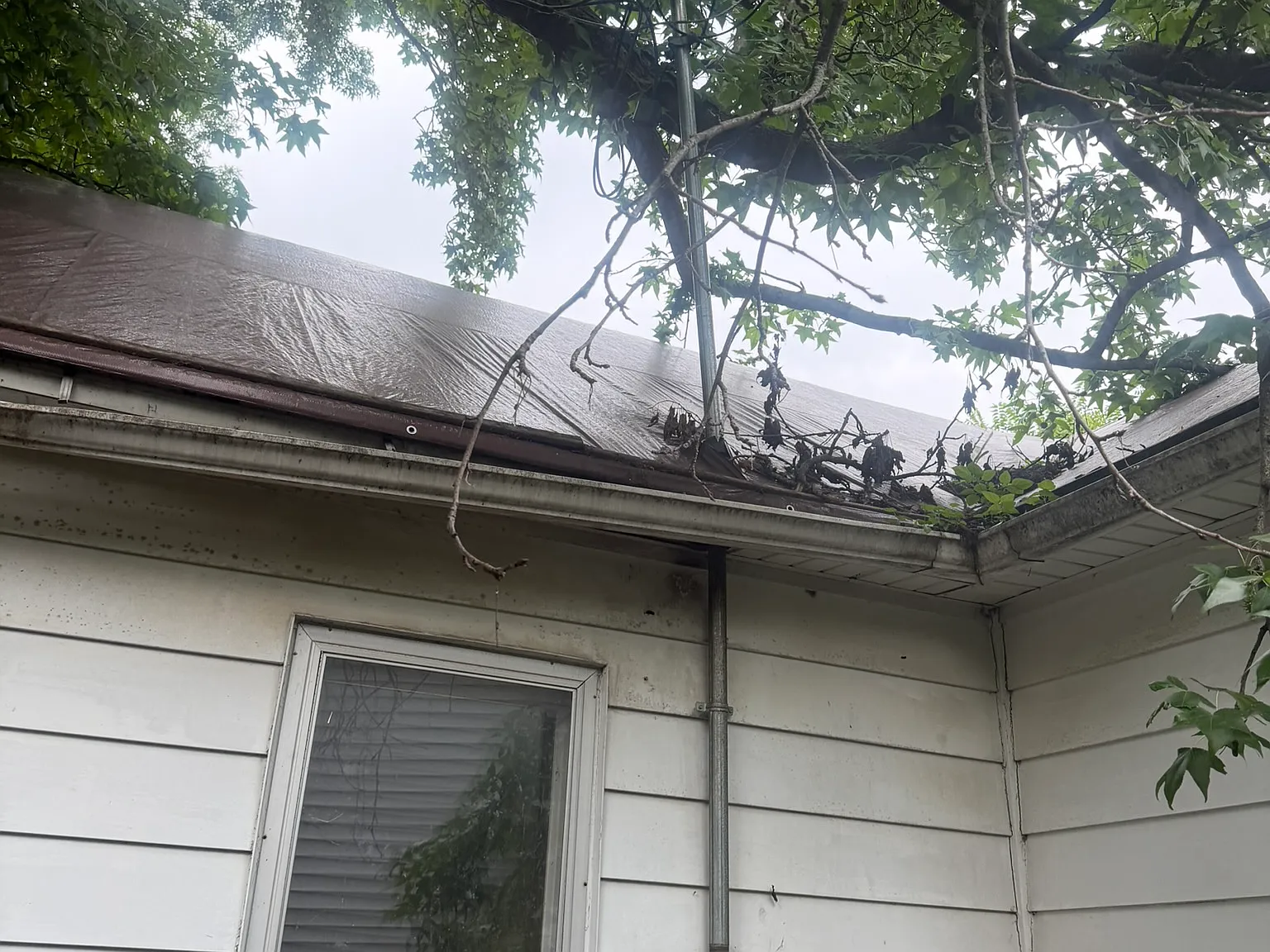 2 bed, 899 sqft, $725 — Photo 4