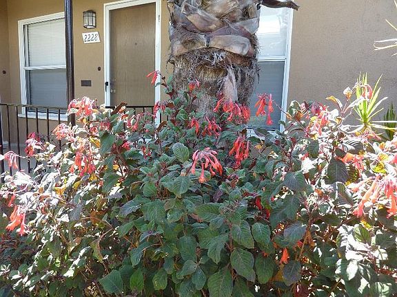 4th image of 2228 S Carmelina Ave