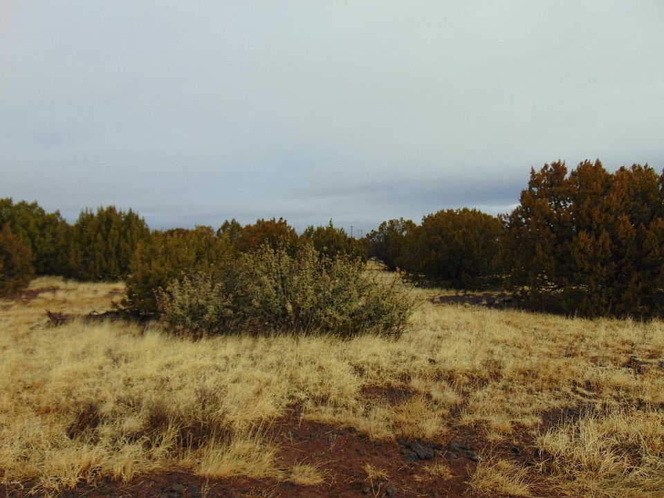 1st image of 8986 Smoke Signal Ln
