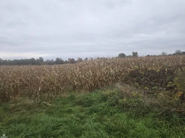0 Brown Ville Rd, Avoca, MI 48006