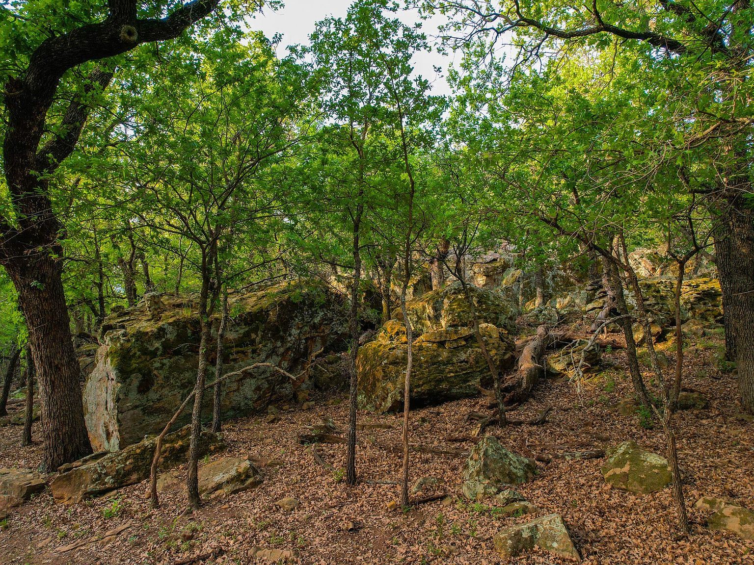 400 Pumphrey Rd, Loving, TX 76460 MLS 11183387 Zillow