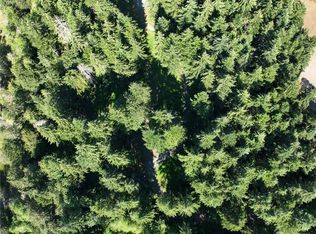 38621 30th Ave S, Roy, WA 98580