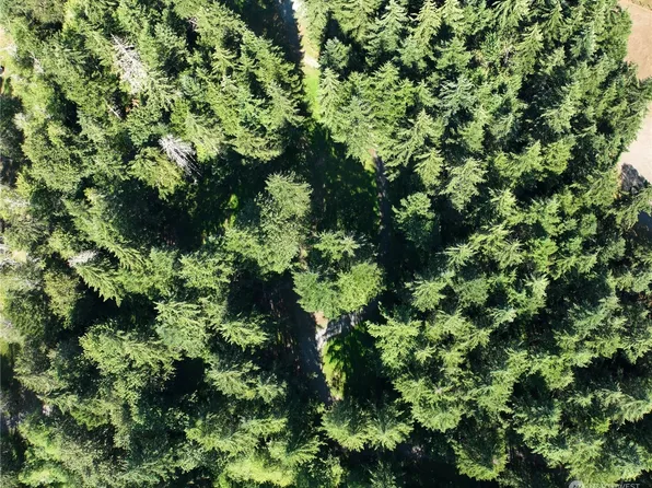 38621 30th Avenue S, Roy, WA 98580