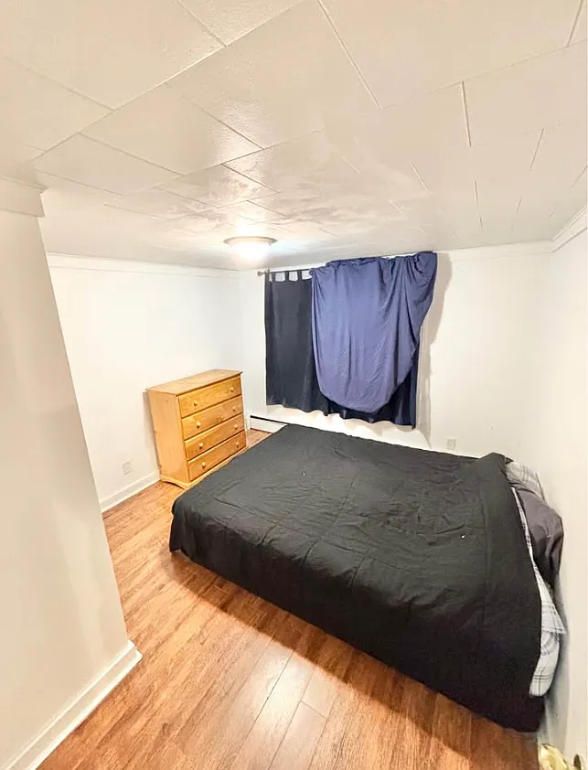 1 bed, $1,150 — Photo 4