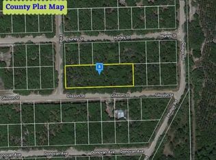Glisson St LOT 12, Interlachen, FL 32148
