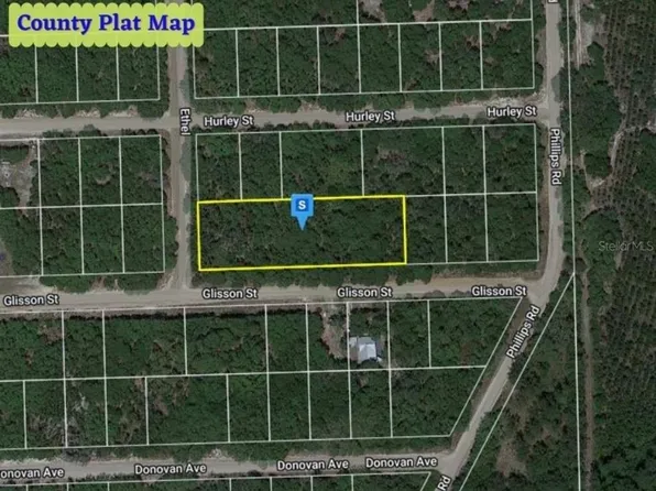 Glisson St Lot 12, Interlachen, FL 32148