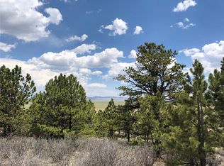 7505 Ranch Rd, Hartsel, CO 80449