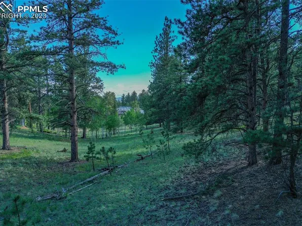 126 Kiowa Way, Florissant, CO 80816