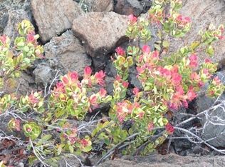 Koa Ln LOT 21, Captain Cook, HI 96704