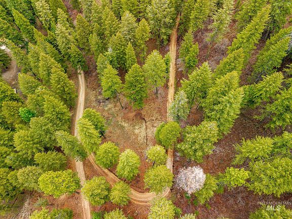 4th image of Bumble Bee Rd