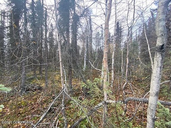 3rd image of 49300 S Cutthroat Dr