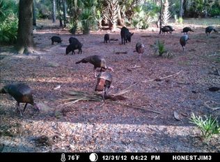 Lightfoot Dr, Nokomis, FL 34275