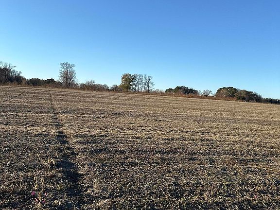 3rd image of 684 State Highway 55 W Lot 2