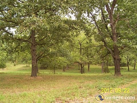 Meadows & Trees throughout