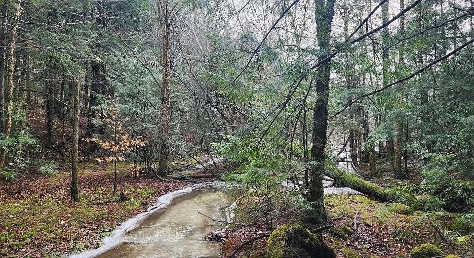 1st image of 2051 Sheldon Woods Road