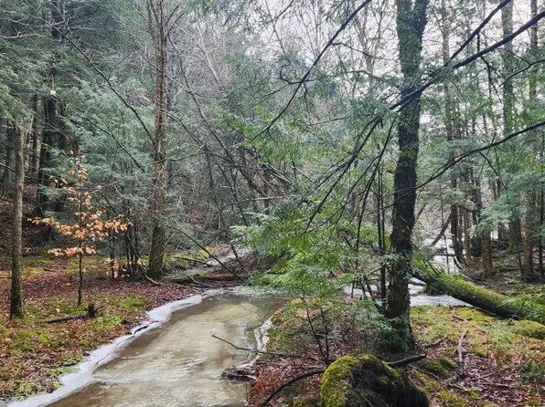 2051 Sheldon Woods Road, Fairfield, VT 05455