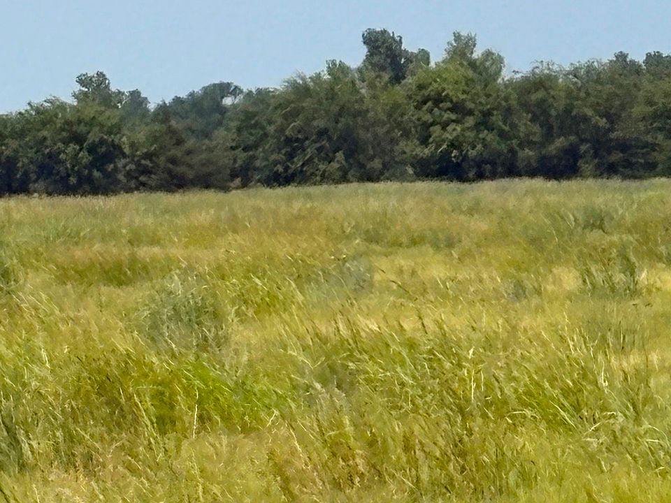 1st image of 3020 Tbd County Rd
