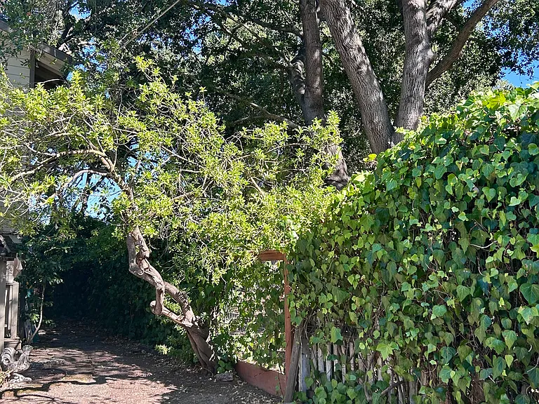 Main Yard