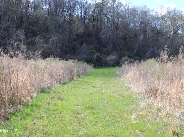 1 Slick Rd, Satartia, MS 39162