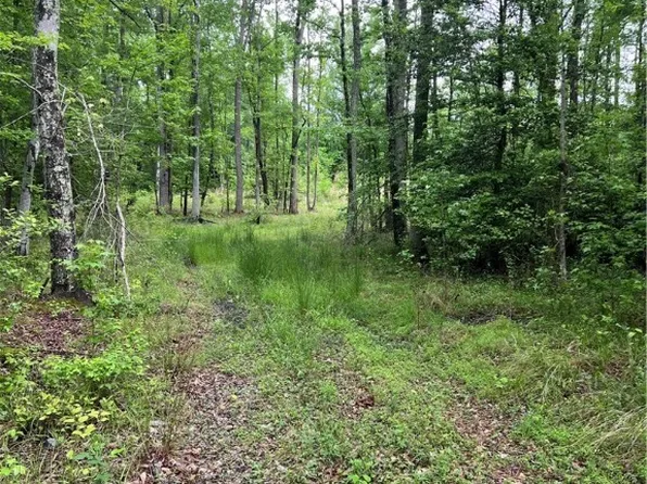 3608 Bolling Rd, Powhatan, VA 23139