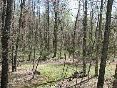 3rd image of 7149 Chesterfield Dr