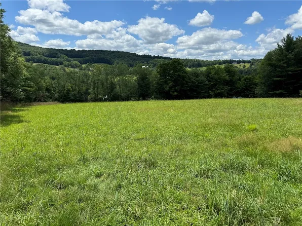 0 County Highway 12 & Stonehouse Rd #27, Bloomville, NY 13739