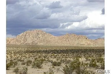 0 Undefined photo 1