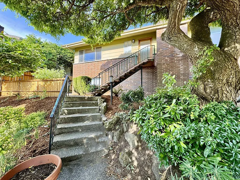 Front steps through garden area