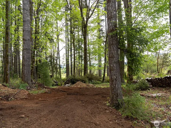331 Rocky Brook Road, Brinnon, WA 98320