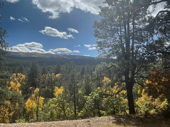60 Private Drive 1753, Chama, NM 87520