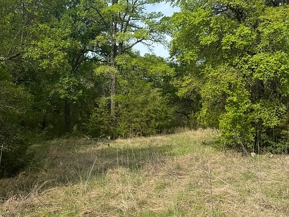 4th image of 1016 Spring Ranch Dr