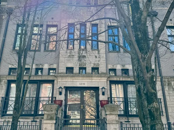 123 W Oak St APT M, Chicago, IL 60610