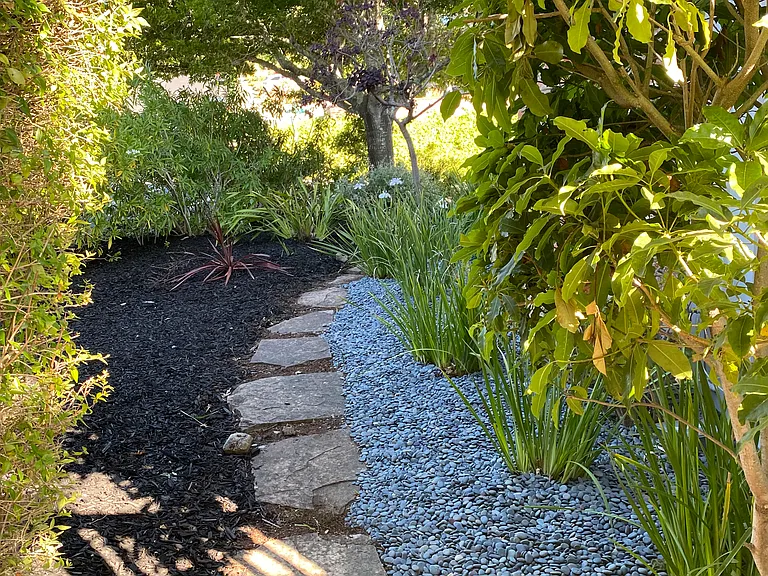Side Yard on East Side of House