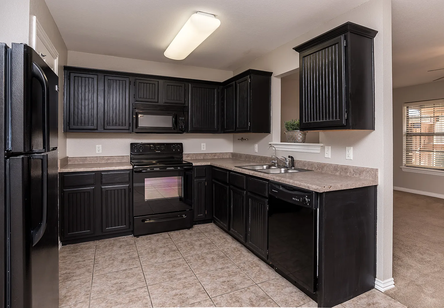 Meerstrong-4069 — Photo 2