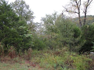 Lot 3 Silver Oak Way, Reeds Spring, MO, 65737