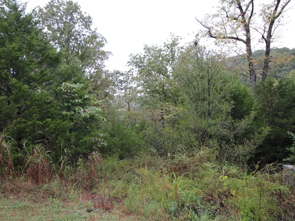 Lot 3 Silver Oak Way, Branson West, MO 65737