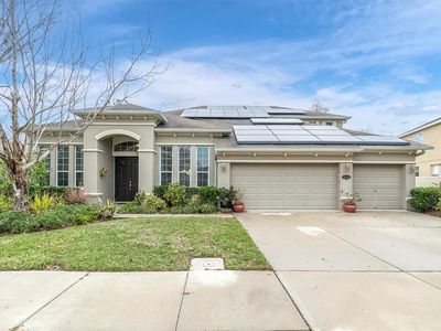 20240 Ravens End Dr, Tampa, FL, 33647